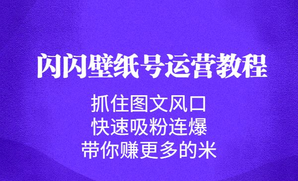 【新自媒体】闪闪壁纸号运营教程，抓住图文风口，快速吸粉连爆，带你赚更多的米-牛牛源码库